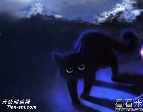 ɵֻ