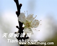 һһ滨--÷