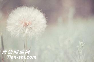 ϵ̫죬ȴ̫