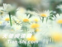 ʮ֡