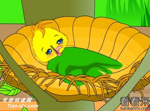 Сǣţ