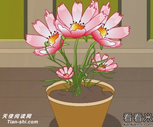 ʯ񻨡ͯ¶