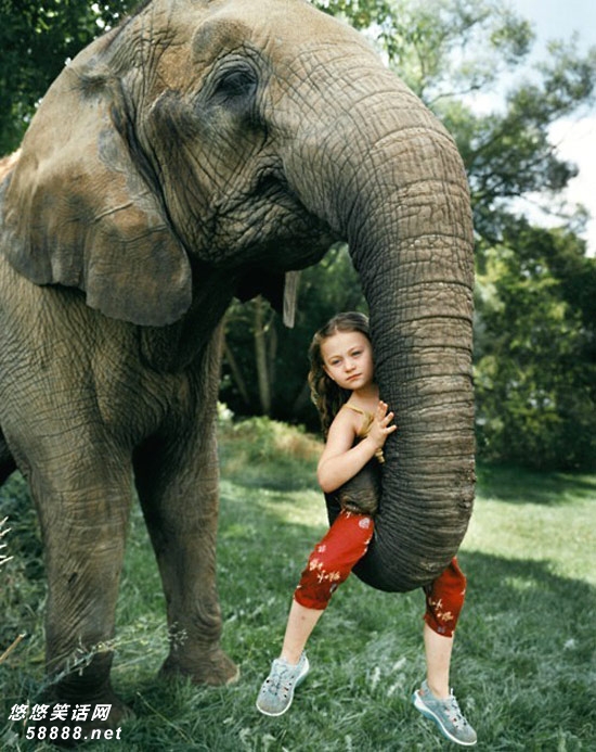 和大象做朋友的孩子好幸福。