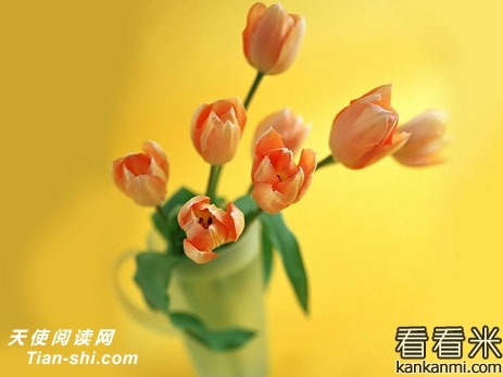 һ㹦û