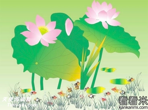 һжƻ