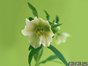 �ܹ���ͷ��ʼ�����оͲ�����..